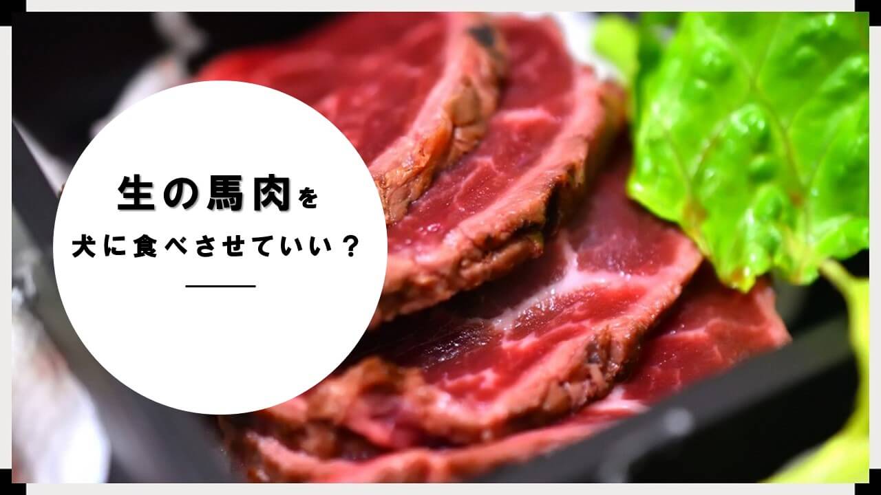生馬肉を犬に食べさせていい 安全性や効果は ファーマーズmatahari 生馬肉を犬に食べさせていい 安全性や効果は ファーマーズmatahari