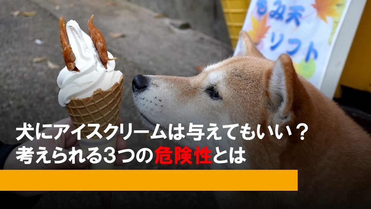 犬にアイスクリームは与えてもいい 考えられる３つの危険性とは ファーマーズmatahari