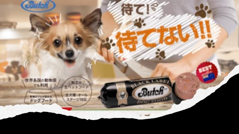 インスタで話題沸騰!生ペットフードの【ブッチ】は穀物アレルギー対応