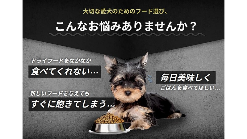 食欲がない子には【カナガン】がおすすめ!