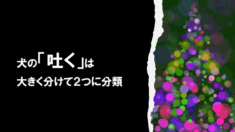 犬の「吐く」は大きく分けて2つに分類