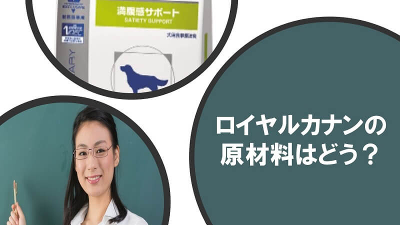 犬心(いぬこころ)はロイヤルカナン、ヒルズとどう違う?