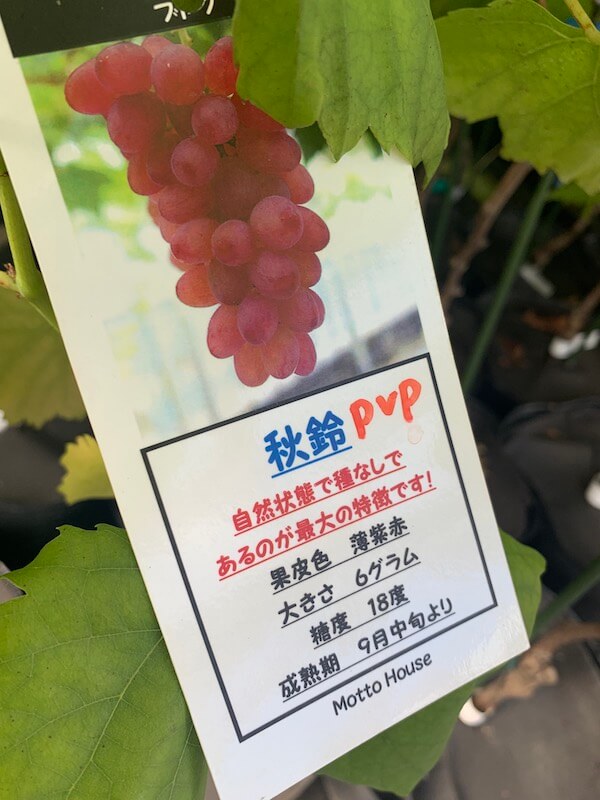 秋鈴