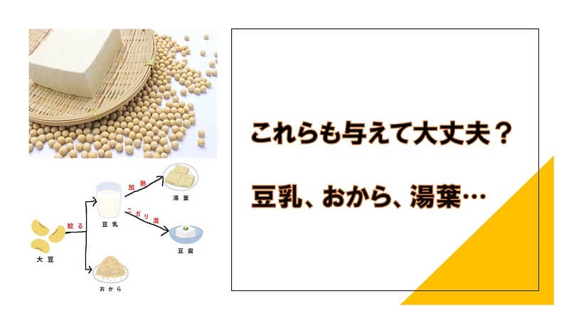 豆乳、おから、湯葉なども与えて大丈夫?