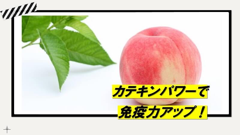 桃のカテキン